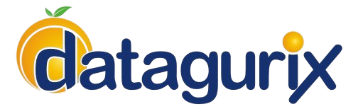 Datagurix Logo