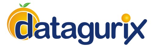 Datagurix Logo
